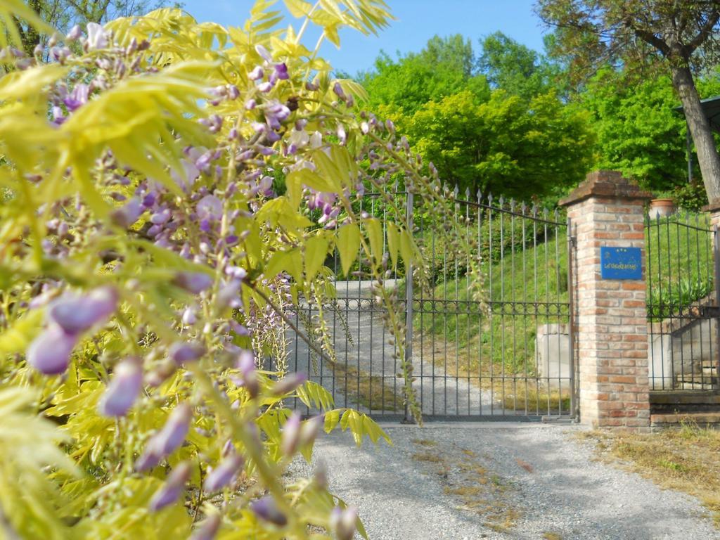 Tenuta Calabiana Diano dʼAlba Pokoj fotografie