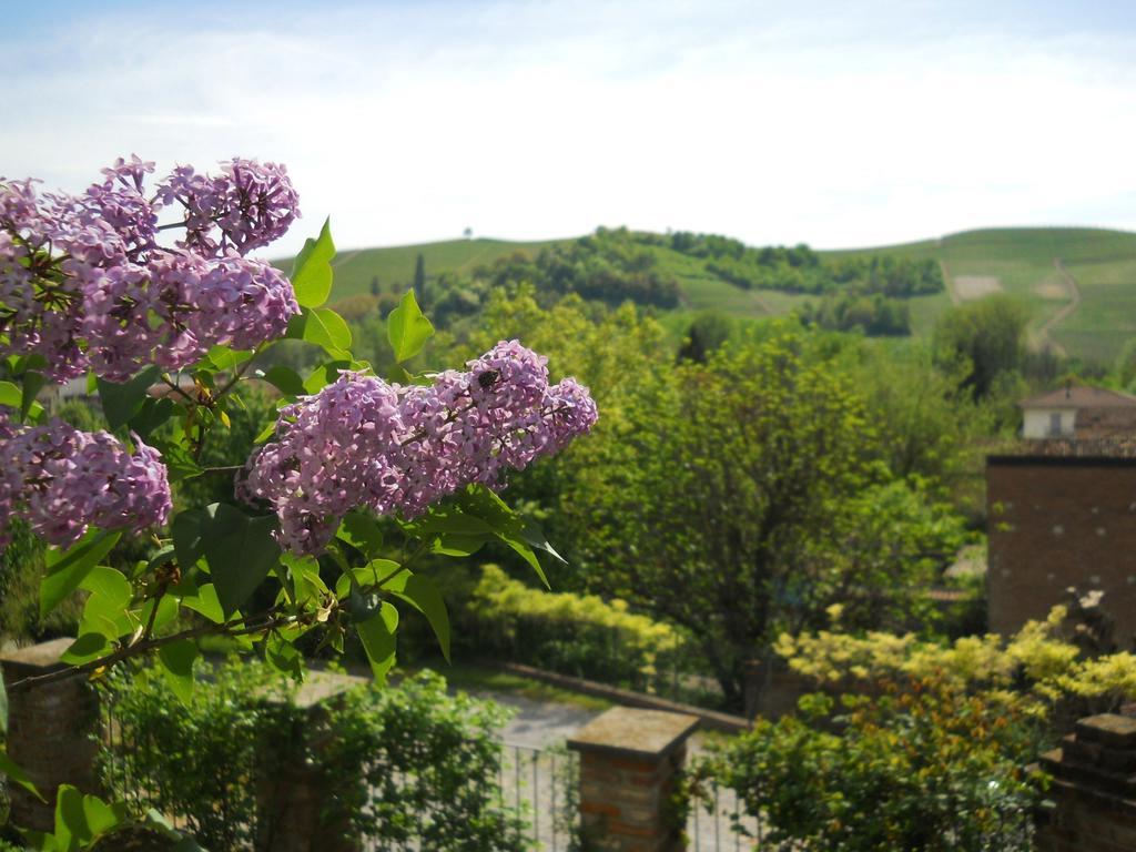 Tenuta Calabiana Diano dʼAlba Pokoj fotografie