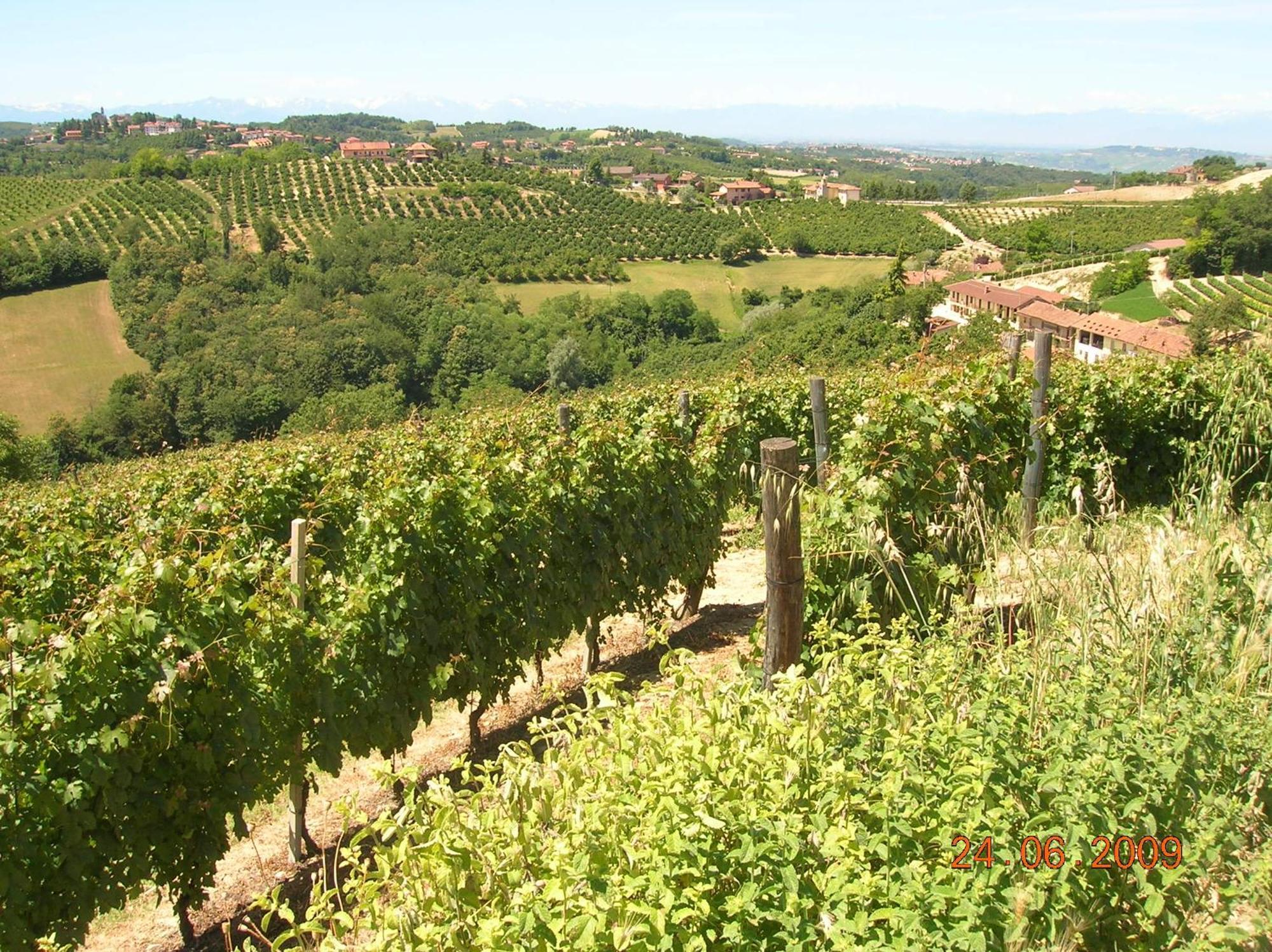 Tenuta Calabiana Diano dʼAlba Exteriér fotografie