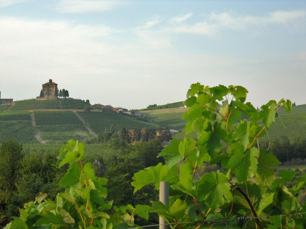 Tenuta Calabiana Diano dʼAlba Pokoj fotografie