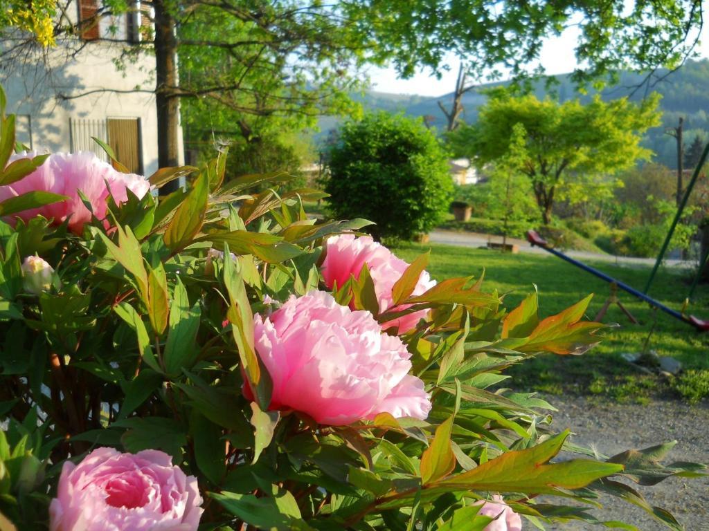 Tenuta Calabiana Diano dʼAlba Pokoj fotografie